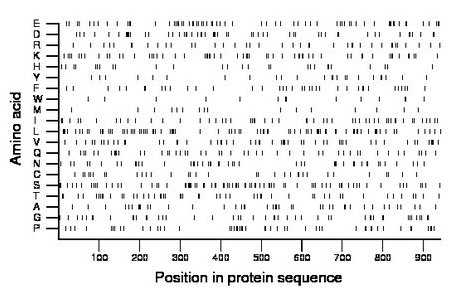 amino acid map