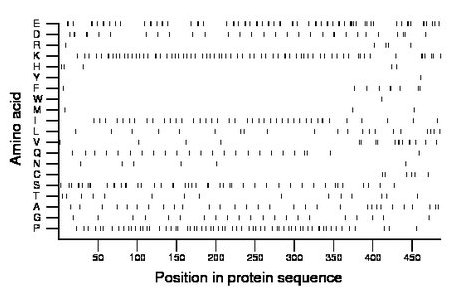 amino acid map