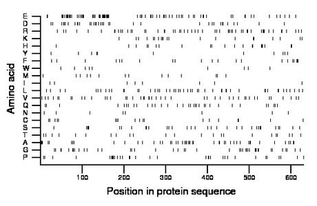 amino acid map