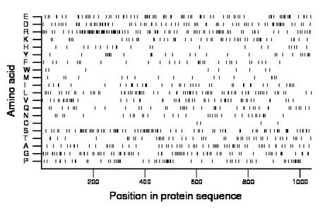 amino acid map