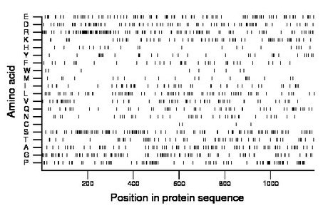 amino acid map