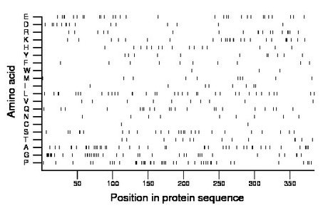 amino acid map