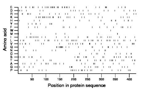 amino acid map