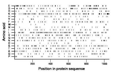 amino acid map