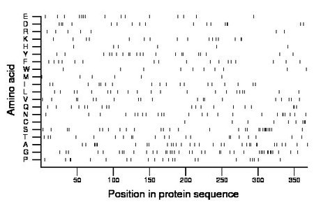 amino acid map