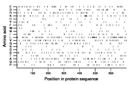 amino acid map