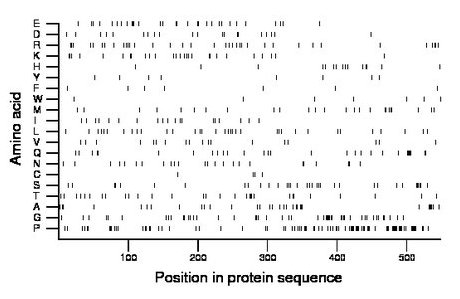 amino acid map