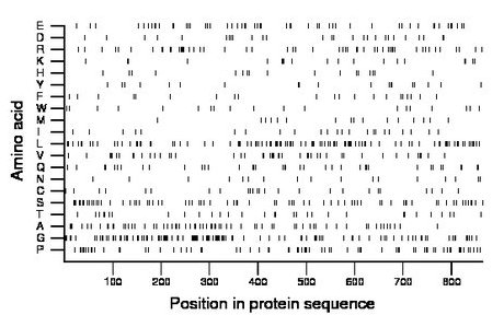 amino acid map