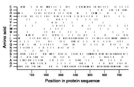 amino acid map