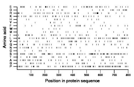 amino acid map