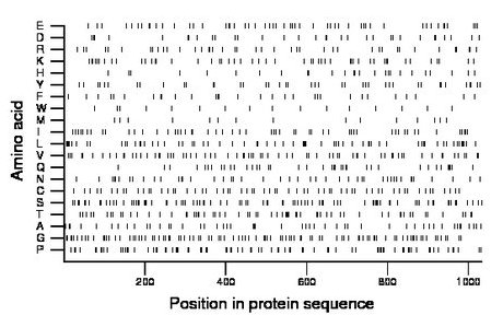 amino acid map