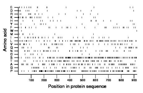 amino acid map