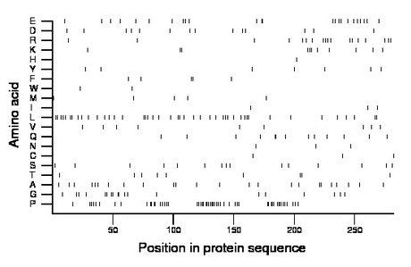 amino acid map