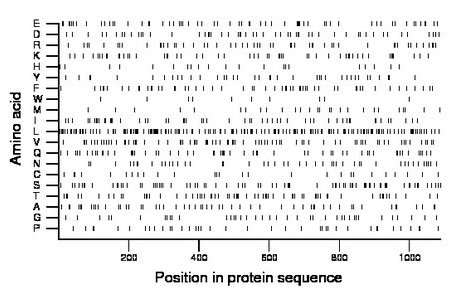 amino acid map