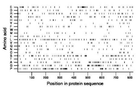 amino acid map