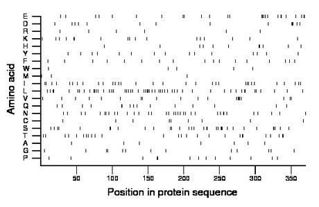 amino acid map