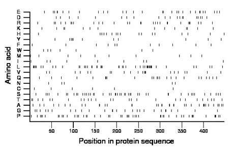 amino acid map