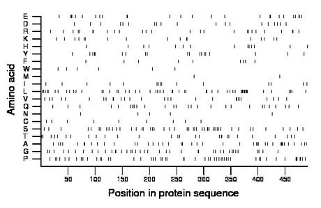 amino acid map