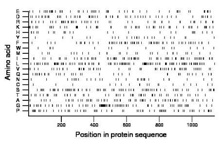 amino acid map