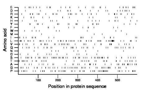 amino acid map