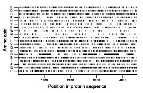 amino acid map