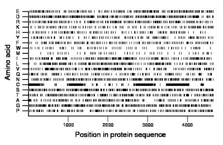 amino acid map