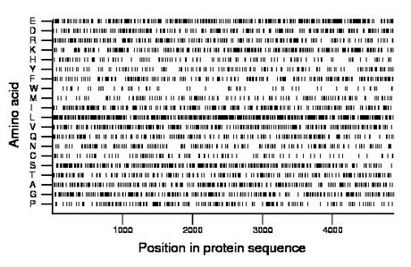 amino acid map