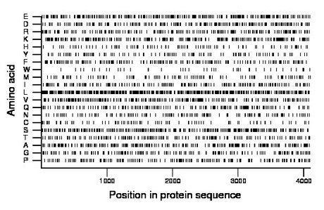 amino acid map