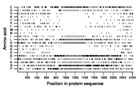 amino acid map