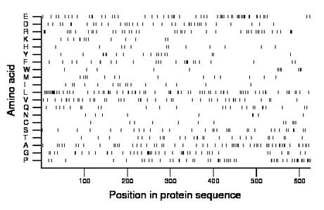 amino acid map