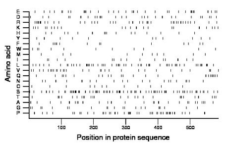 amino acid map