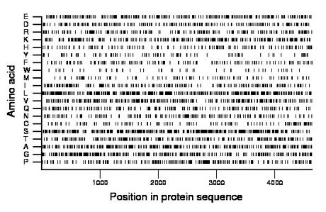 amino acid map