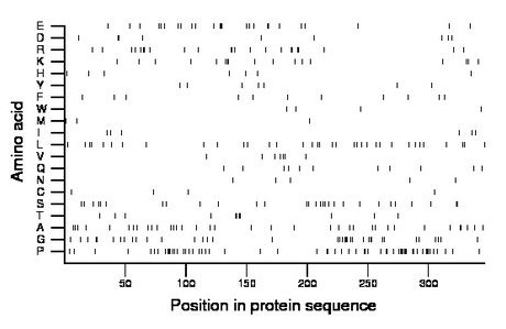 amino acid map