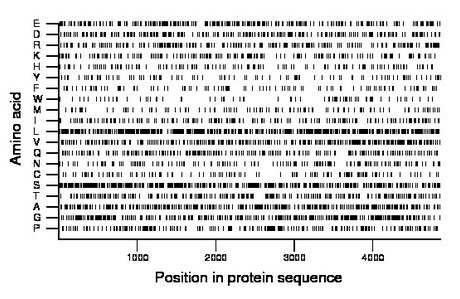 amino acid map