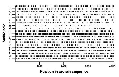 amino acid map