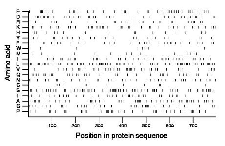 amino acid map