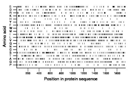 amino acid map