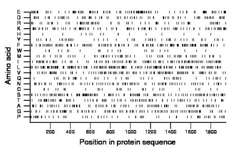 amino acid map