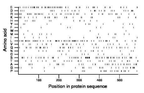 amino acid map