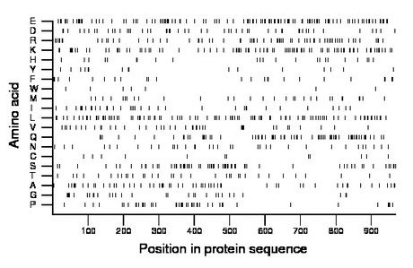 amino acid map