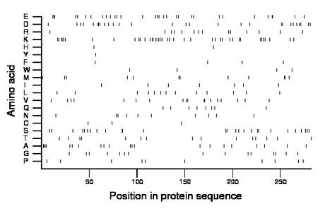 amino acid map