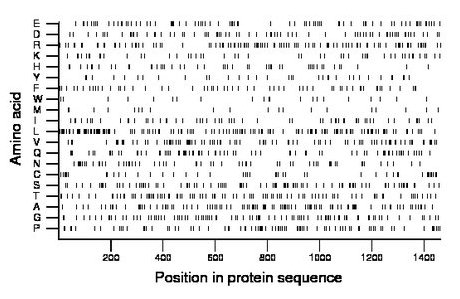 amino acid map