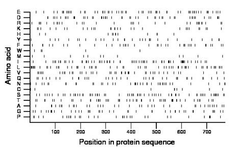 amino acid map