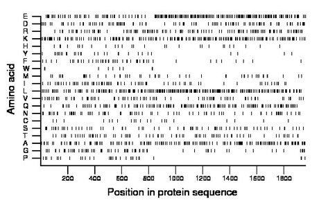 amino acid map