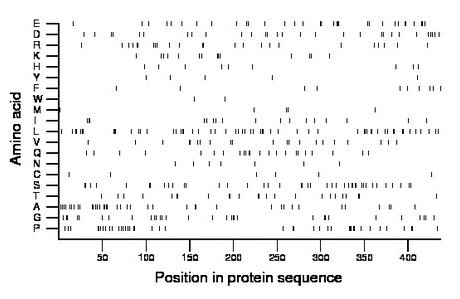 amino acid map