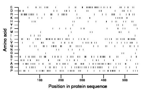 amino acid map