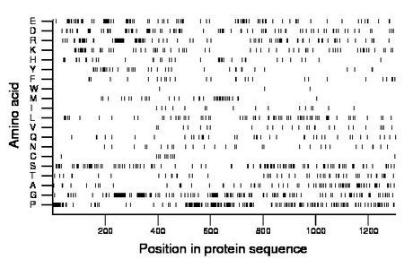 amino acid map