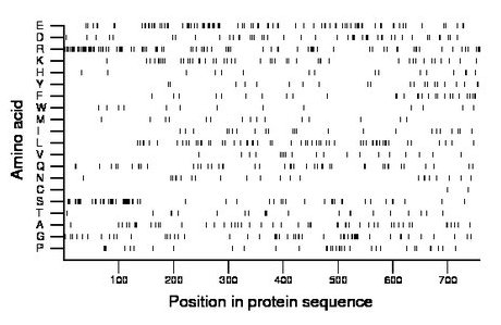 amino acid map