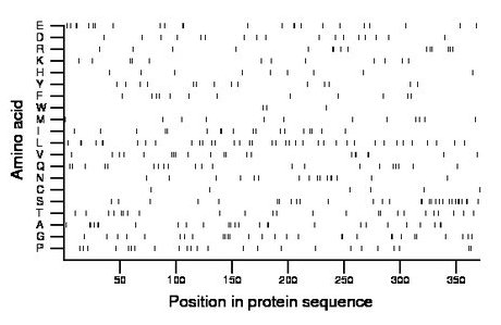 amino acid map