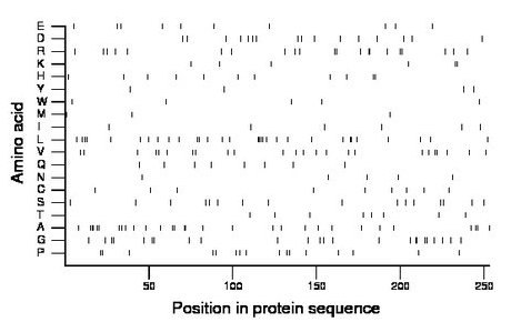 amino acid map